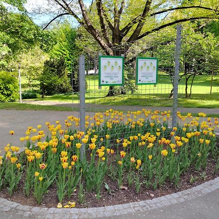 Wohnung In Leoben Zentrum Zwischen Hauptplatz Und Stadtpark Екстериор снимка