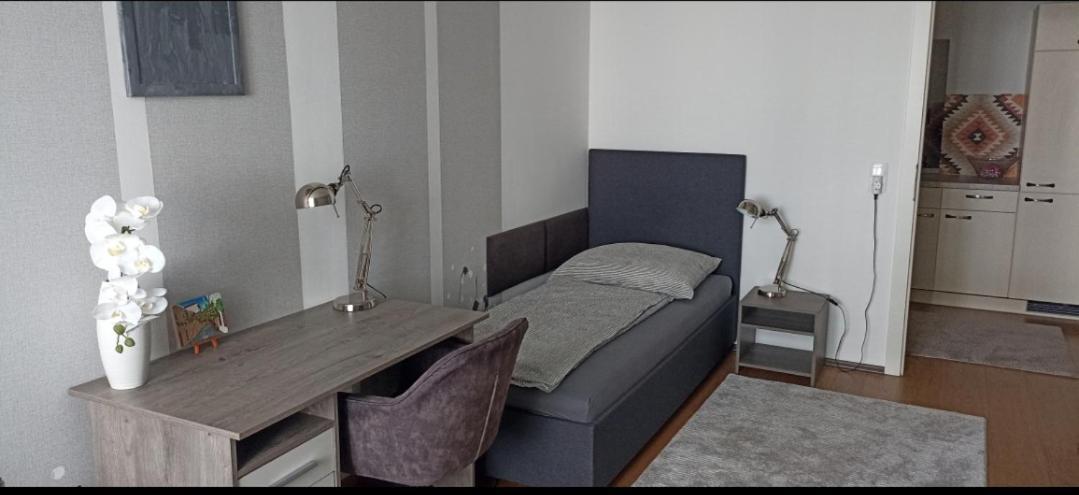 Wohnung In Leoben Zentrum Zwischen Hauptplatz Und Stadtpark Екстериор снимка