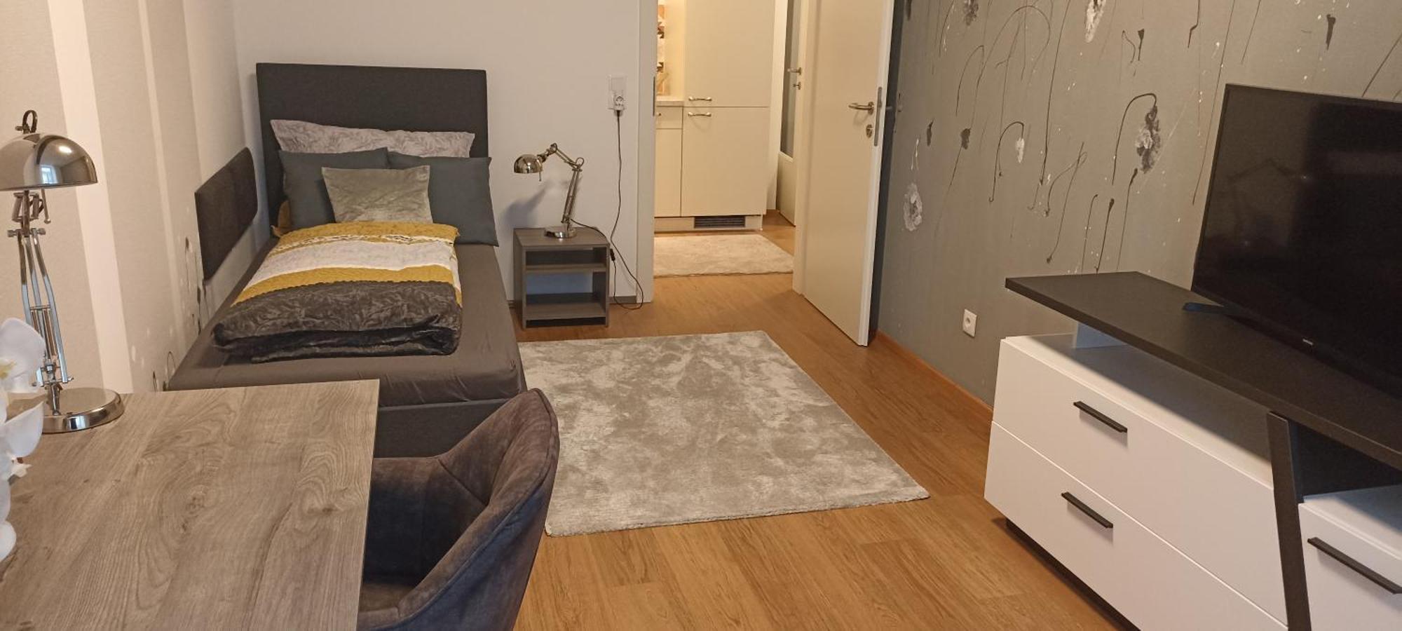 Wohnung In Leoben Zentrum Zwischen Hauptplatz Und Stadtpark Екстериор снимка
