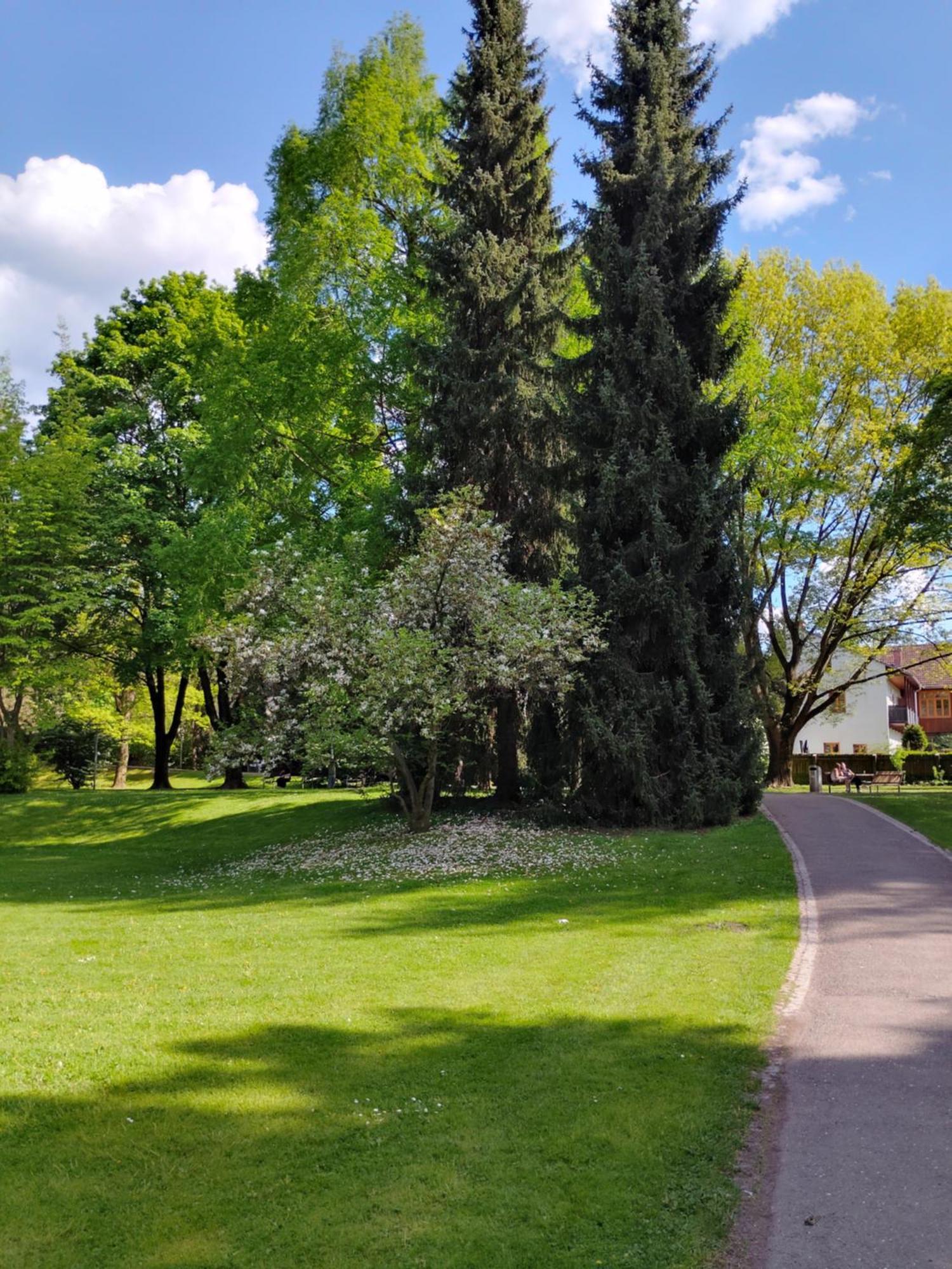 Wohnung In Leoben Zentrum Zwischen Hauptplatz Und Stadtpark Екстериор снимка